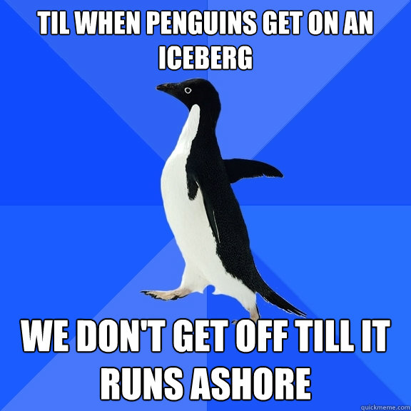 til when penguins get on an iceberg we don't get off till it runs ashore  Socially Awkward Penguin