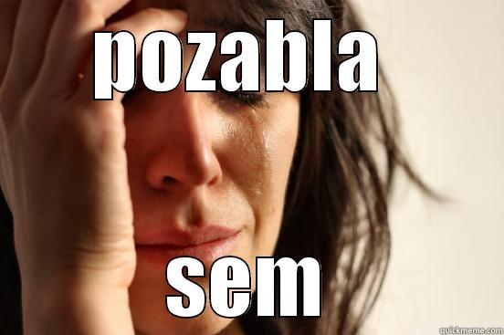 POZABLA  SEM First World Problems