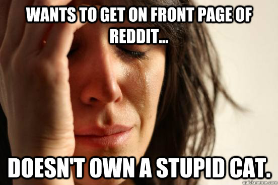 Wants to get on front page of reddit... Doesn't own a stupid cat.  First World Problems