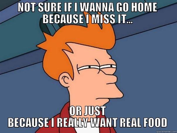 NOT SURE IF I WANNA GO HOME BECAUSE I MISS IT... OR JUST BECAUSE I REALLY WANT REAL FOOD Futurama Fry