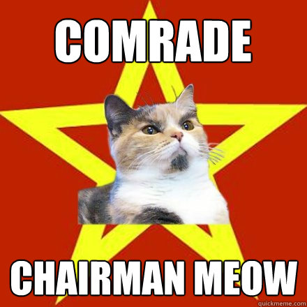 Comrade Chairman Meow  Lenin Cat