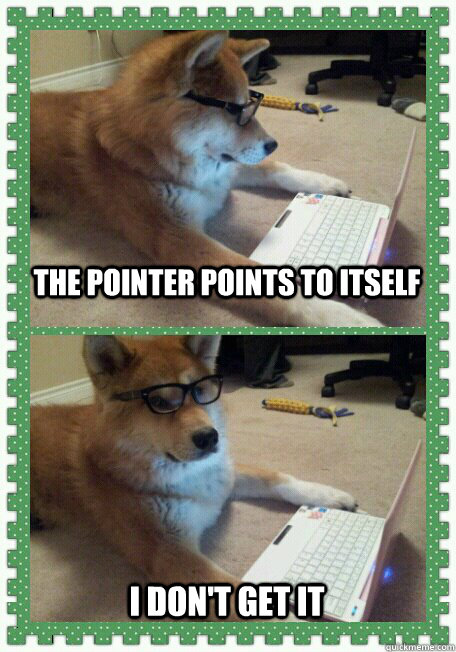 The pointer points to itself I don't get it - The pointer points to itself I don't get it  Misc
