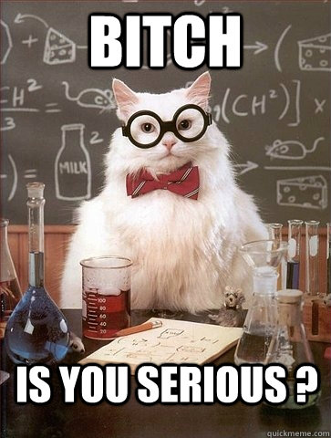 BITCH IS YOU SERIOUS ? Caption 3 goes here  Chemistry Cat