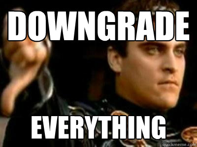 DOwngrade everything - DOwngrade everything  Downvoting Roman