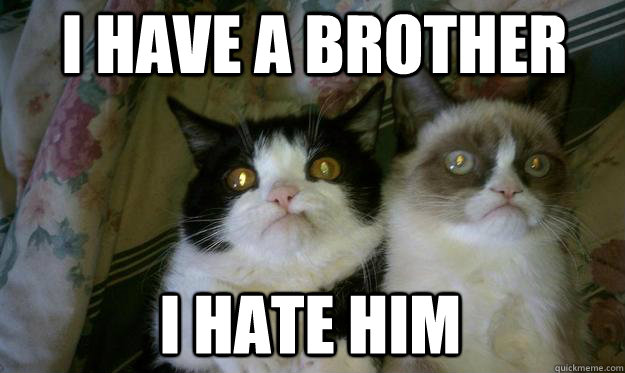 I have A BROTHER I hate him - I have A BROTHER I hate him  Grumpy Cat Brothers