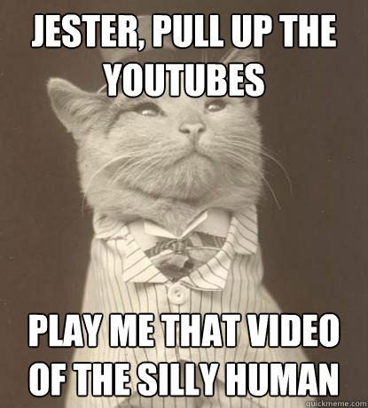 Jester, pull up the youtubes play me that video of the silly human - Jester, pull up the youtubes play me that video of the silly human  Aristocat