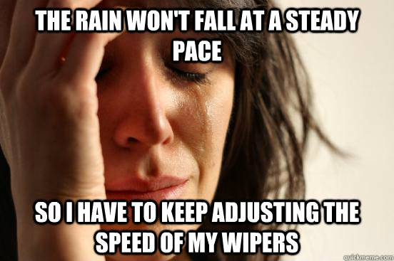 The rain won't fall at a steady pace So I have to keep adjusting the speed of my wipers  First World Problems