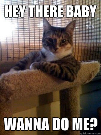HEY THERE BABY WANNA DO ME?  The Most Interesting Cat in the World