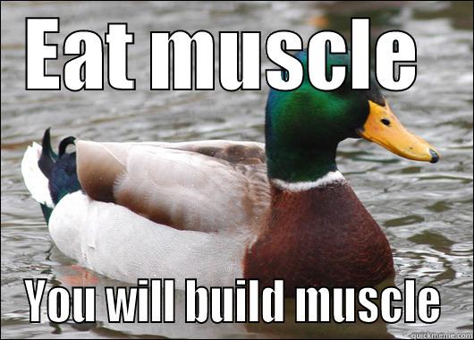 EAT MUSCLE  YOU WILL BUILD MUSCLE Actual Advice Mallard