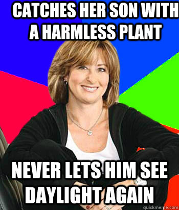 catches her son with a harmless plant never lets him see daylight again  Sheltering Suburban Mom