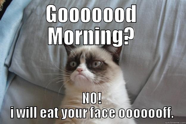 GOOOOOOD MORNING? NO! I WILL EAT YOUR FACE OOOOOOFF. Grumpy Cat