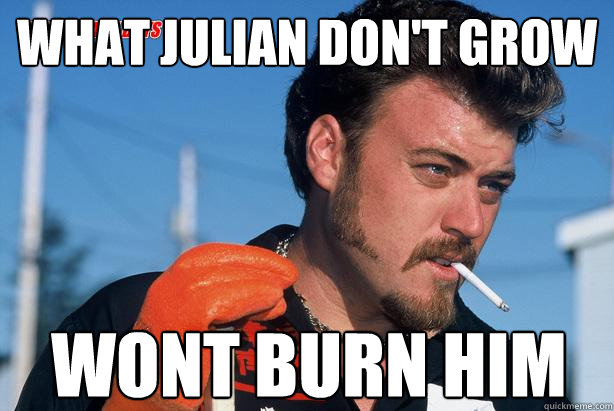 what julian don't grow wont burn him  Ricky Trailer Park Boys