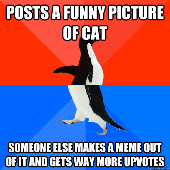 Posts a funny picture of cat Someone else makes a meme out of it and gets way more upvotes  Socially Awesome Awkward Penguin
