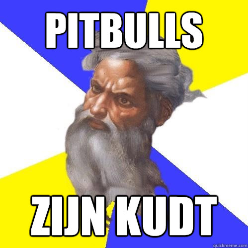 Pitbulls zijn KUDT  Advice God