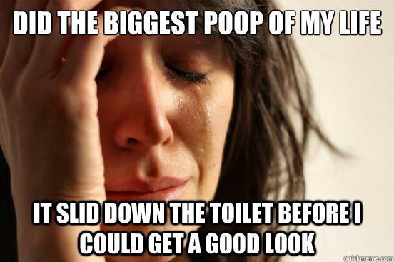 did the biggest poop of my life it slid down the toilet before i could get a good look  First World Problems