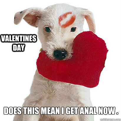 does this mean i get anal now . valentines day  