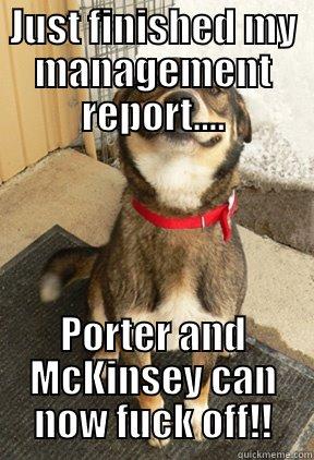 JUST FINISHED MY MANAGEMENT REPORT.... PORTER AND MCKINSEY CAN NOW FUCK OFF!! Good Dog Greg