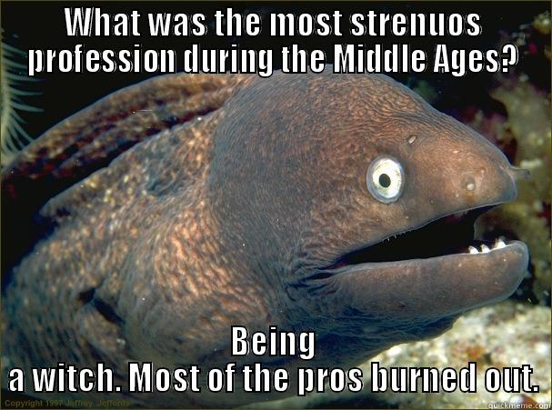 WHAT WAS THE MOST STRENUOS PROFESSION DURING THE MIDDLE AGES? BEING A WITCH. MOST OF THE PROS BURNED OUT. Bad Joke Eel