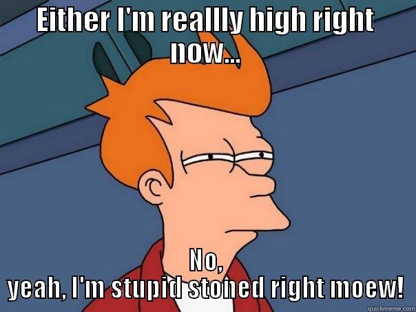 EITHER I'M REALLLY HIGH RIGHT NOW... NO, YEAH, I'M STUPID STONED RIGHT MOEW! Futurama Fry