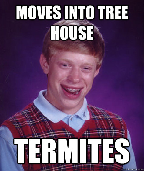 Moves into tree house TERMITES  Bad Luck Brian