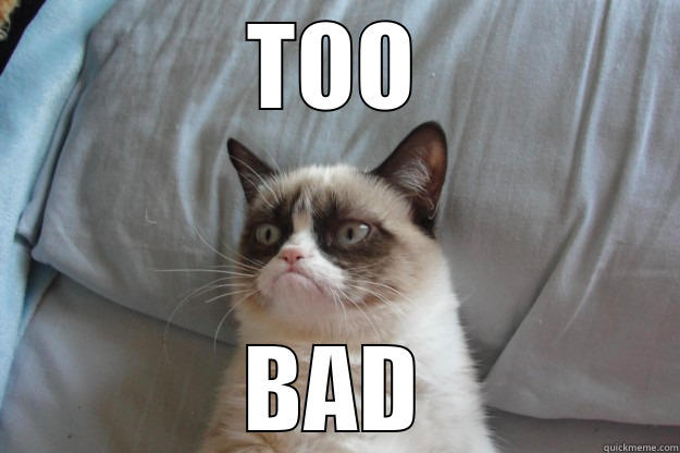TOO BAD Grumpy Cat