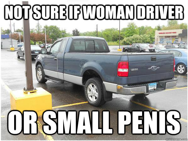 NOT sure if woman driver or small penis - NOT sure if woman driver or small penis  Overcompensation