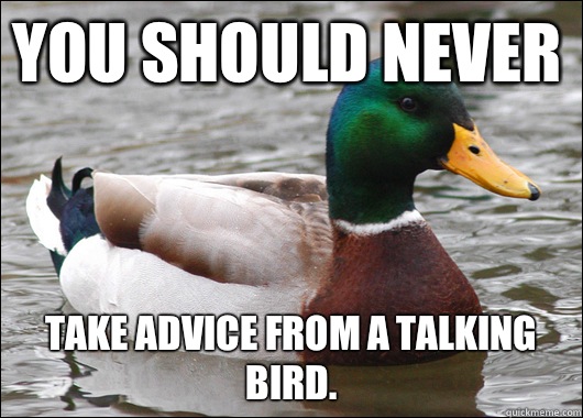 You should never Take advice from a talking bird.  Actual Advice Mallard