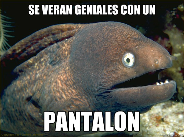 se veran geniales con un pantalon - se veran geniales con un pantalon  Bad Joke Eel