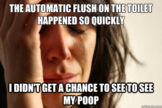 The automatic flush on the toilet happened so quickly I didn't get a chance to see to see my poop  First World Problems