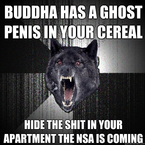buddha has a ghost penis in your cereal hide the shit in your apartment the NSA is coming  Insanity Wolf