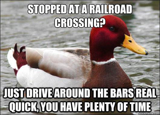 Stopped at a railroad crossing?
 Just drive around the bars real quick, you have plenty of time  Malicious Advice Mallard