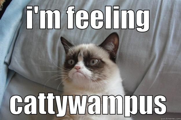 I'M FEELING CATTYWAMPUS Grumpy Cat