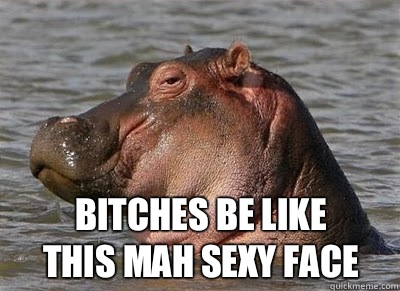 Bitches be like
this mah sexy face  