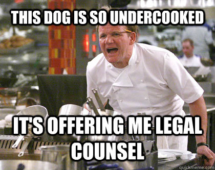 This dog is so undercooked it's offering me legal counsel  Ramsay Gordon Yelling