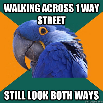 walking across 1 way street Still look both ways - walking across 1 way street Still look both ways  Paranoid Parrot
