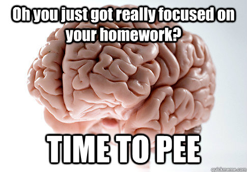 Oh you just got really focused on your homework? TIME TO PEE  Scumbag Brain