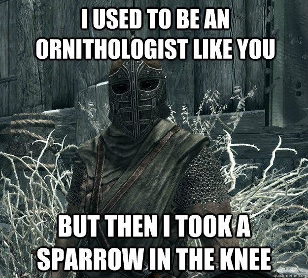 I used to be an ornithologist like you but then i took a sparrow in the knee  Skyrim Guard