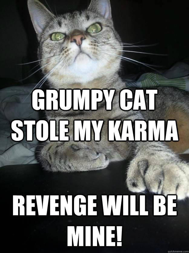 Grumpy cat stole my karma revenge will be mine!  Revenge Cat