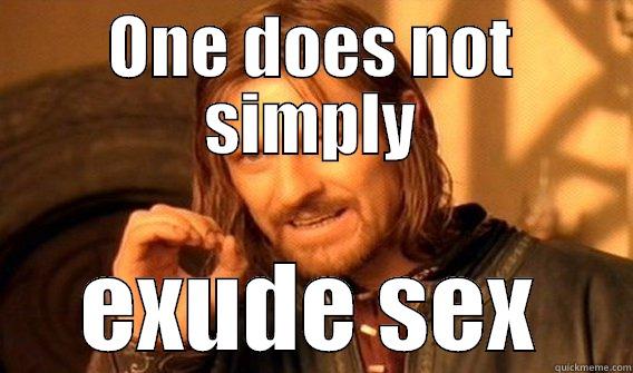 ONE DOES NOT SIMPLY EXUDE SEX One Does Not Simply