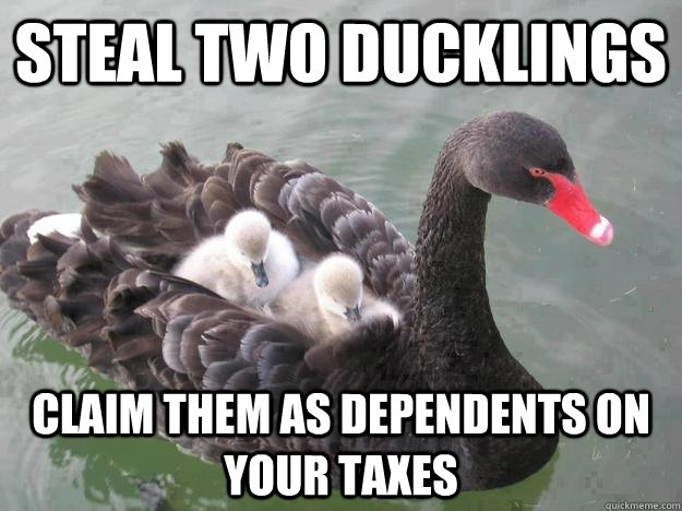 Steal two ducklings Claim them as dependents on your taxes  Malicious Advice Mallard