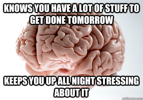 Knows you have a lot of stuff to get done tomorrow keeps you up all night stressing about it - Knows you have a lot of stuff to get done tomorrow keeps you up all night stressing about it  Scumbag Brain
