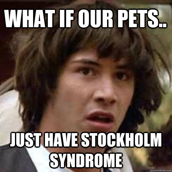 What if our pets.. just have Stockholm syndrome  conspiracy keanu