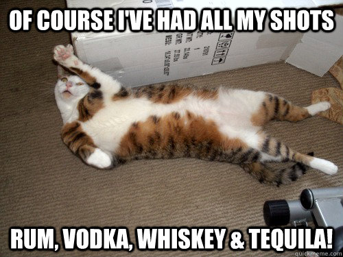 Of course i've had all my shots rum, vodka, whiskey & tequila!  Drunk Cat