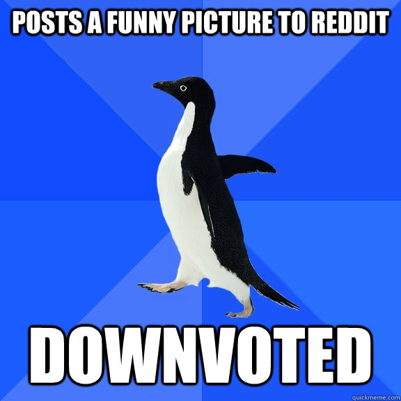 Posts a funny picture to Reddit Downvoted  Socially Awkward Penguin