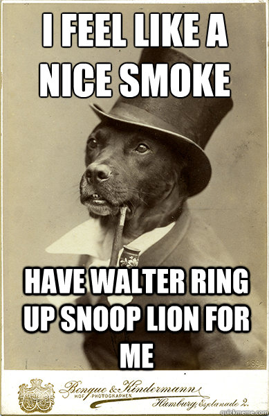 I feel like a nice smoke
 Have Walter Ring Up Snoop Lion for me  Old Money Dog