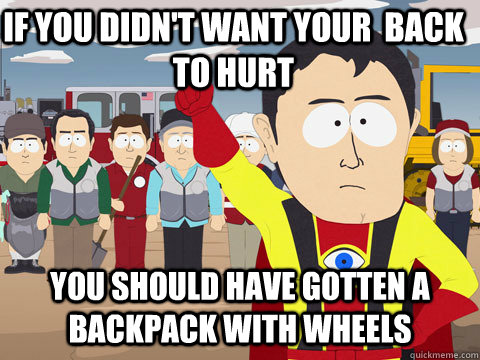 if you didn't want your  back to hurt You should have gotten a backpack with wheels  Captain Hindsight