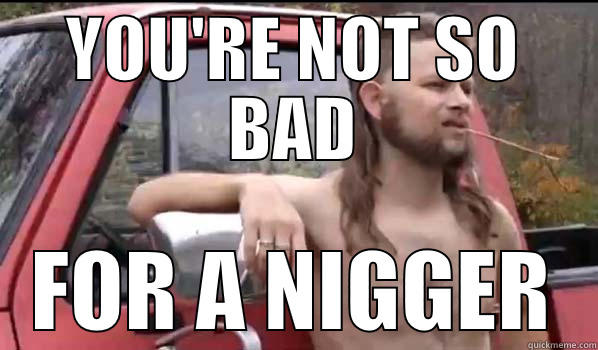 YOU'RE NOT SO BAD FOR A NIGGER Almost Politically Correct Redneck