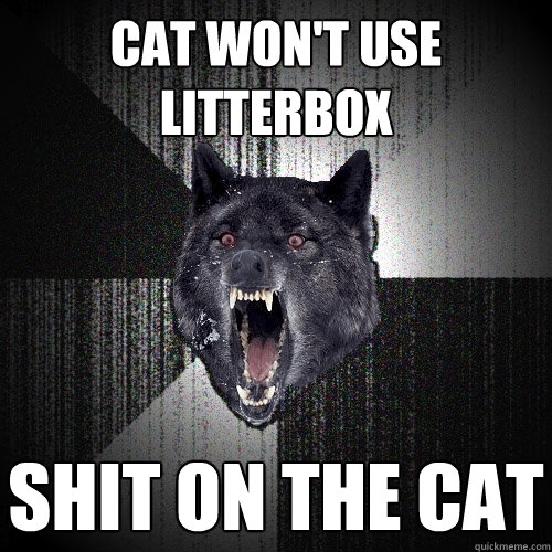 cat won't use litterbox shit on the cat  Insanity Wolf