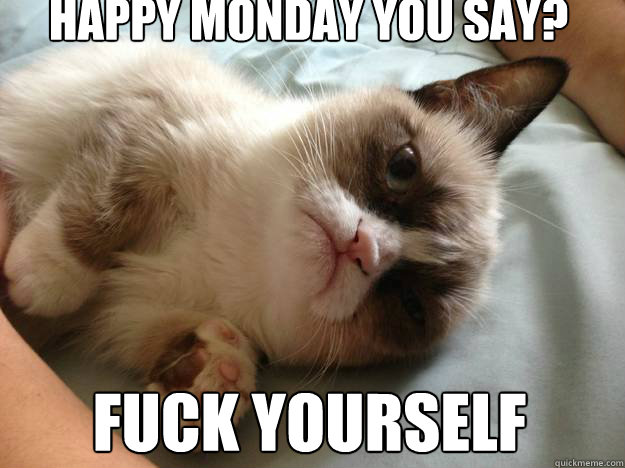 Happy Monday you say? fuck yourself - Happy Monday you say? fuck yourself  Confused Grumpy Cat