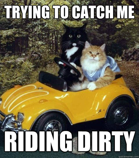 trying to catch me Riding dirty  cat car